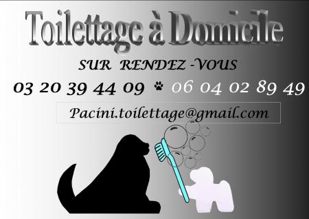Quelques modèles...