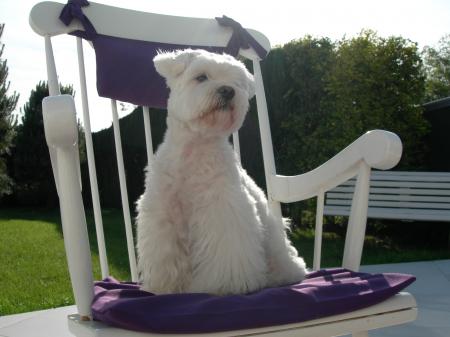 vicky